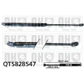 Quinton Hazell QTS828547 Gasveer achterklep