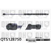 Quinton Hazell QTS128750 Gasveer achterklep