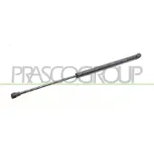 PRASCO TY3209053 Gasveer achterklep