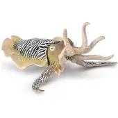 Collecta Gewone mattenplant