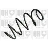 Quinton Hazell QCS8298 Chassisveer