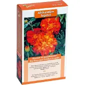 Buzzy Groenbemester Afrikaantjes (Tagetes) 50gr