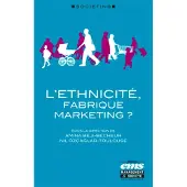 Ems Management Et Societes L'ethnicité, fabrique marketing ?