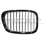 PRASCO BM0452033 Radiator grill