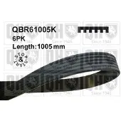 Quinton Hazell QBR61005K Multiriem