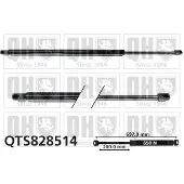 Quinton Hazell QTS828514 Gasveer achterklep