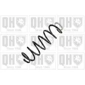 Quinton Hazell QCS8729 Chassisveer