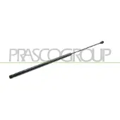 PRASCO FT9079055 Gasveer achterklep