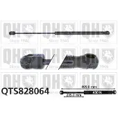 Quinton Hazell QTS828064 Gasveer achterklep
