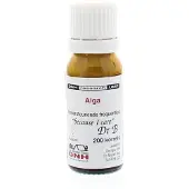 Dnh Alga 200 stuks