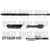 Quinton Hazell QTS828100 Gasveer achterklep