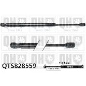 Quinton Hazell QTS828559 Gasveer motorkap