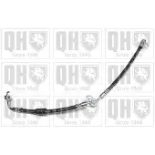 Quinton Hazell BFH6060 Remslang