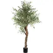 Ptmd Tree Green Olive Tree In Pot 210cm
