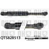 Quinton Hazell QTS828513 Gasveer achterklep