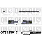 Quinton Hazell QTS128017 Gasveer achterklep