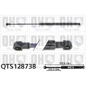 Quinton Hazell QTS128738 Gasveer motorkap