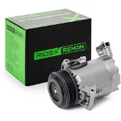 RIDEX 447K0107R Aircopomp