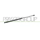 PRASCO ME3059055 Gasveer achterklep