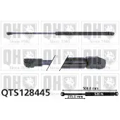 Quinton Hazell QTS128445 Gasveer achterklep