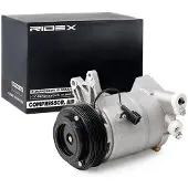 RIDEX 447K0291 Aircopomp
