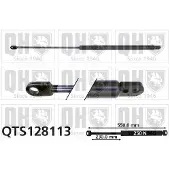Quinton Hazell QTS128113 Gasveer achterklep