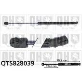 Quinton Hazell QTS828039 Gasveer achterklep