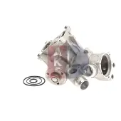 AKS DASIS 570401N Waterpomp
