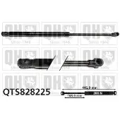 Quinton Hazell QTS828225 Gasveer achterklep