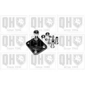 Quinton Hazell QSJ976S Fuseekogel