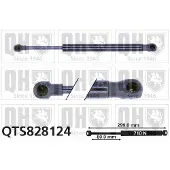 Quinton Hazell QTS828124 Gasveer achterklep