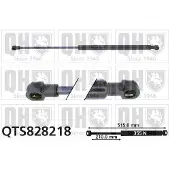 Quinton Hazell QTS828218 Gasveer achterklep