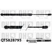 Quinton Hazell QTS828795 Gasveer motorkap