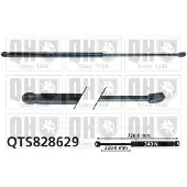 Quinton Hazell QTS828629 Gasveer motorkap