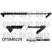Quinton Hazell QTS840229 Gasveer achterklep
