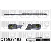 Quinton Hazell QTS828183 Gasveer motorkap