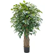 PrettyPlants Ficus Liana Kunstplant 180cm