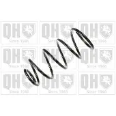 Quinton Hazell QCS8202 Chassisveer