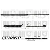 Quinton Hazell QTS828537 Gasveer achterklep