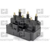 Quinton Hazell XIC8438 Bobine