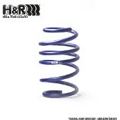H&R 29979VA1 Chassisveer