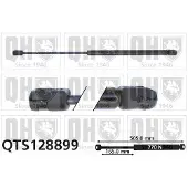 Quinton Hazell QTS128899 Gasveer achterklep