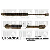 Quinton Hazell QTS828503 Gasveer motorkap