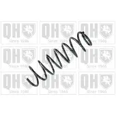 Quinton Hazell QCS5669 Chassisveer