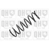Quinton Hazell QCS5019 Chassisveer
