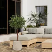 Maxifleur Kunstplanten Olijf Kunstboom op stam 120cm UV in pot