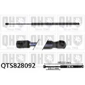Quinton Hazell QTS828092 Gasveer achterklep
