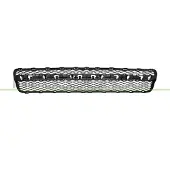 BLIC 6502-07-9585914P Ventilatiegrille, bumper