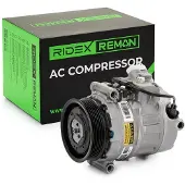 RIDEX 447K0820R Aircopomp