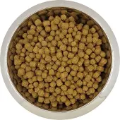 Yourdog dwerg- of toypoedel senior - 12 kg - Hondenvoer